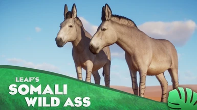 Somali Wild Ass - New Species (1.12)