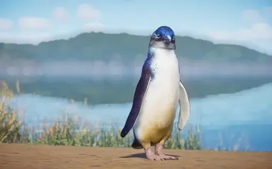 Little Blue Penguin - New Species (1.14) At Planet Zoo Nexus - Mods And 