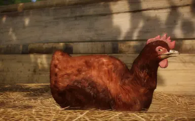 (1.8) New Species - Rhode Island Red Chicken at Planet Zoo Nexus - Mods ...