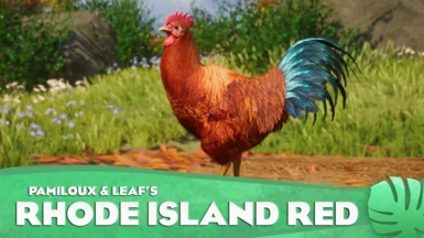 Domestic Chicken - Rhode Island Red - New Species (1.16)