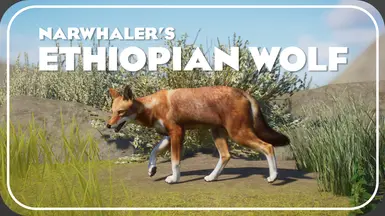 Ethiopian Wolf - New Species (1.16)