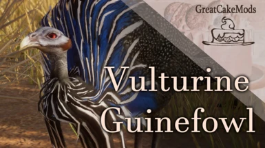 Vulturine Guineafowl - New Species (1.16)