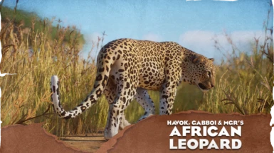 African Leopard - New Species (1.15)
