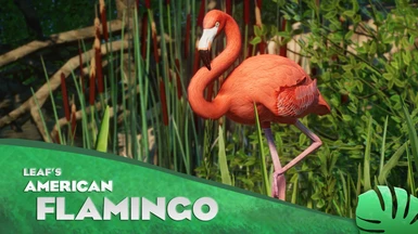 American Flamingo - New Species (1.13)