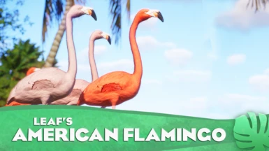 American Flamingo - New Species (1.15)