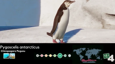 Penguin Education Boards