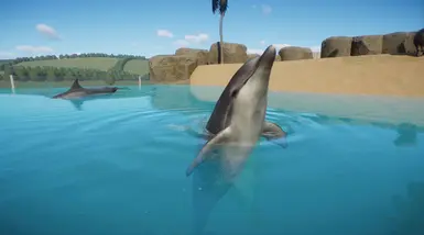 how to install mods on dolphin