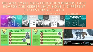 Big and Small Cats Custom Billboard Images