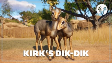 Kirk's Dik-Dik - New Species (1.16)