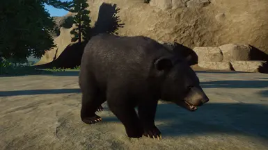 American Black Bear (Updated for 1.4) at Planet Zoo Nexus - Mods and ...