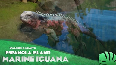 Marine Iguana (Espanola Island) - New Species (1.12)