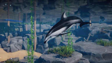 Pacific White-Sided Dolphin - New Species (1.10)