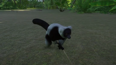Black Ruffed Lemur (Updated for 1.4)