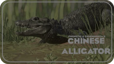 (1.16) Chinese Alligator by Phonetic - New Species