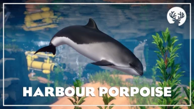 Harbour Porpoise - New Species (1.16)