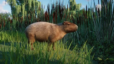 Capybara - New Species (1.8)