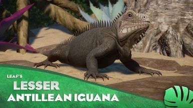 Lesser Antillean Iguana - New Species (1.14)