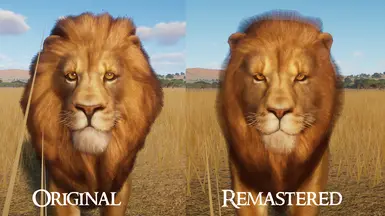 West African Lion Remaster at Planet Zoo Nexus - Mods and community