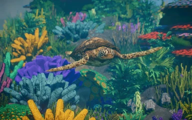 Green Sea Turtle - New Species (1.10)