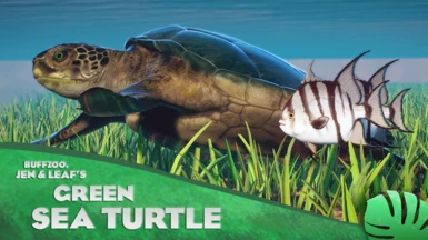 Green Sea Turtle - New Species (1.14)
