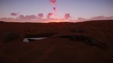 Dawn