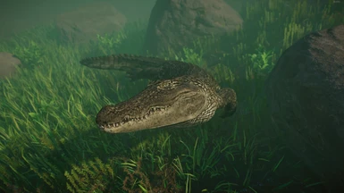 Nile Crocodile - New Species (1.14)