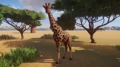 Masai Giraffe (updated For 1.4) At Planet Zoo Nexus - Mods And Community