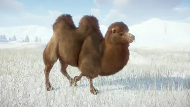 Bactrian Camel Fluffy Remaster (1.8) at Planet Zoo Nexus - Mods and ...