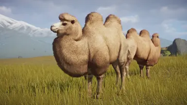 Bactrian Camel Remaster And New Variants (1.15) At Planet Zoo Nexus 