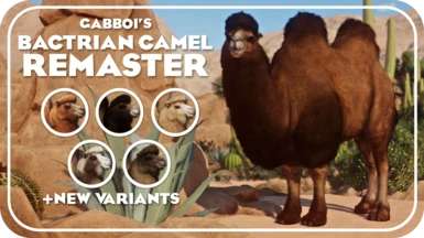 Bactrian Camel Remaster and New Variants (1.15)
