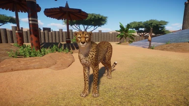 Cheetah Remaster (UPDATE 1.9.1)