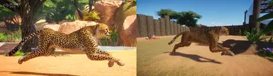 Original VS Remake