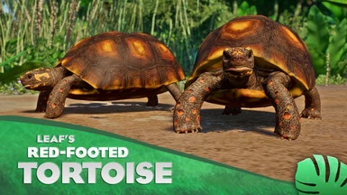 Red-Footed Tortoise - New Species (1.14)