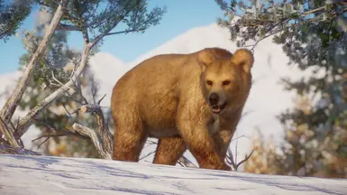 Himalayan Brown Bear Remaster (1.10 ACSE Update) at Planet Zoo Nexus ...