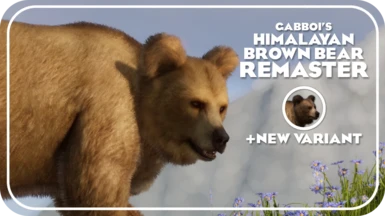 Himalayan Brown Bear Remaster and New Variant (1.13 ACSE )