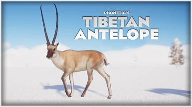 Tibetan Antelope - Chiru - New Species (1.14)