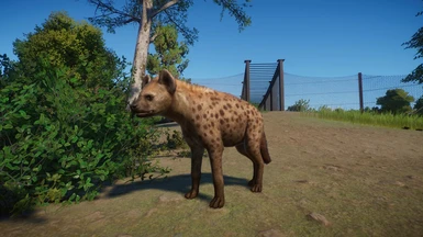 Spotted Hyena Remaster (UPDATE 1.7)
