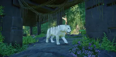 Bengal Tiger variant (NEW SPECIES 1.6)