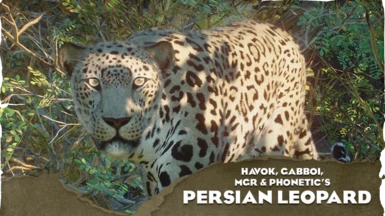 Persian Leopard - New Species (1.15)