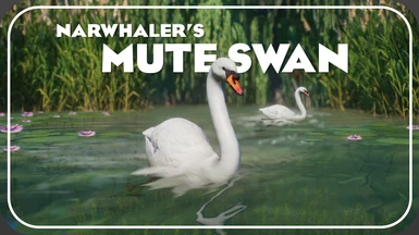 Mute Swan - New Species (1.10)