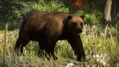 Eurasian Brown Bear - New Species (1.15) at Planet Zoo Nexus - Mods and ...