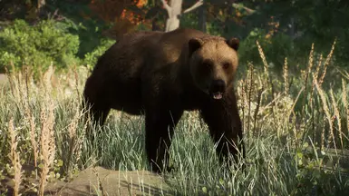 Eurasian Brown Bear - New Species (1.15) at Planet Zoo Nexus - Mods and ...