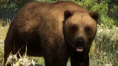 Eurasian Brown Bear - New Species (1.15) at Planet Zoo Nexus - Mods and ...