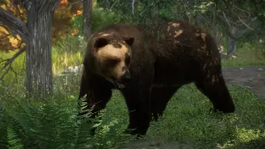 Eurasian Brown Bear - New Species (1.15) at Planet Zoo Nexus - Mods and ...