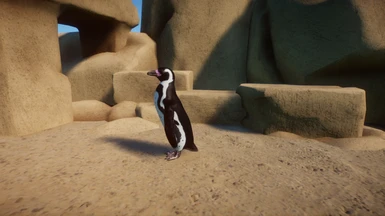 Humboldt Penguin (new species)