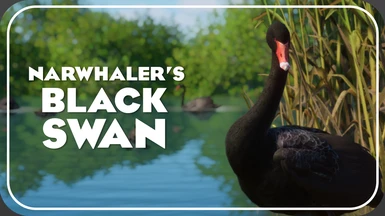 Black Swan - New Species (1.16)