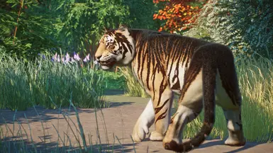 Bengal Tiger Remaster and New Variants (1.15) at Planet Zoo Nexus ...