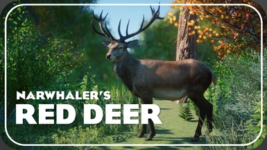Red Deer - New Species (Discontinued)