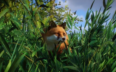 Japanese Red Fox - New Species (1.10) at Planet Zoo Nexus - Mods and ...