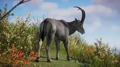 Bluebuck - Extinct New Species (1.16) at Planet Zoo Nexus - Mods and ...